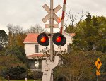 Crossing Signal 